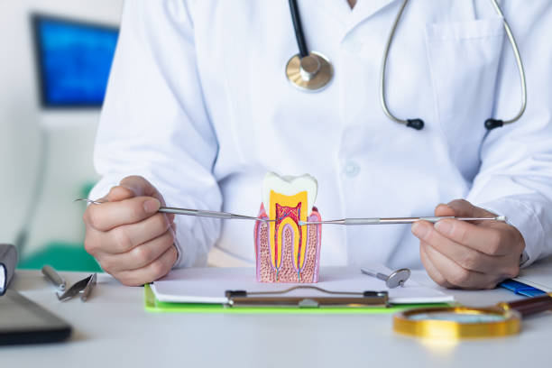 Best Emergency Dentist for Special Needs Patients in Speer, NC